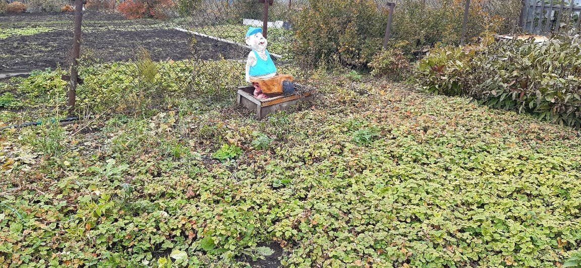 Это кстати после прополки и до того, как поляна высохнет под испепеляющим солнцем