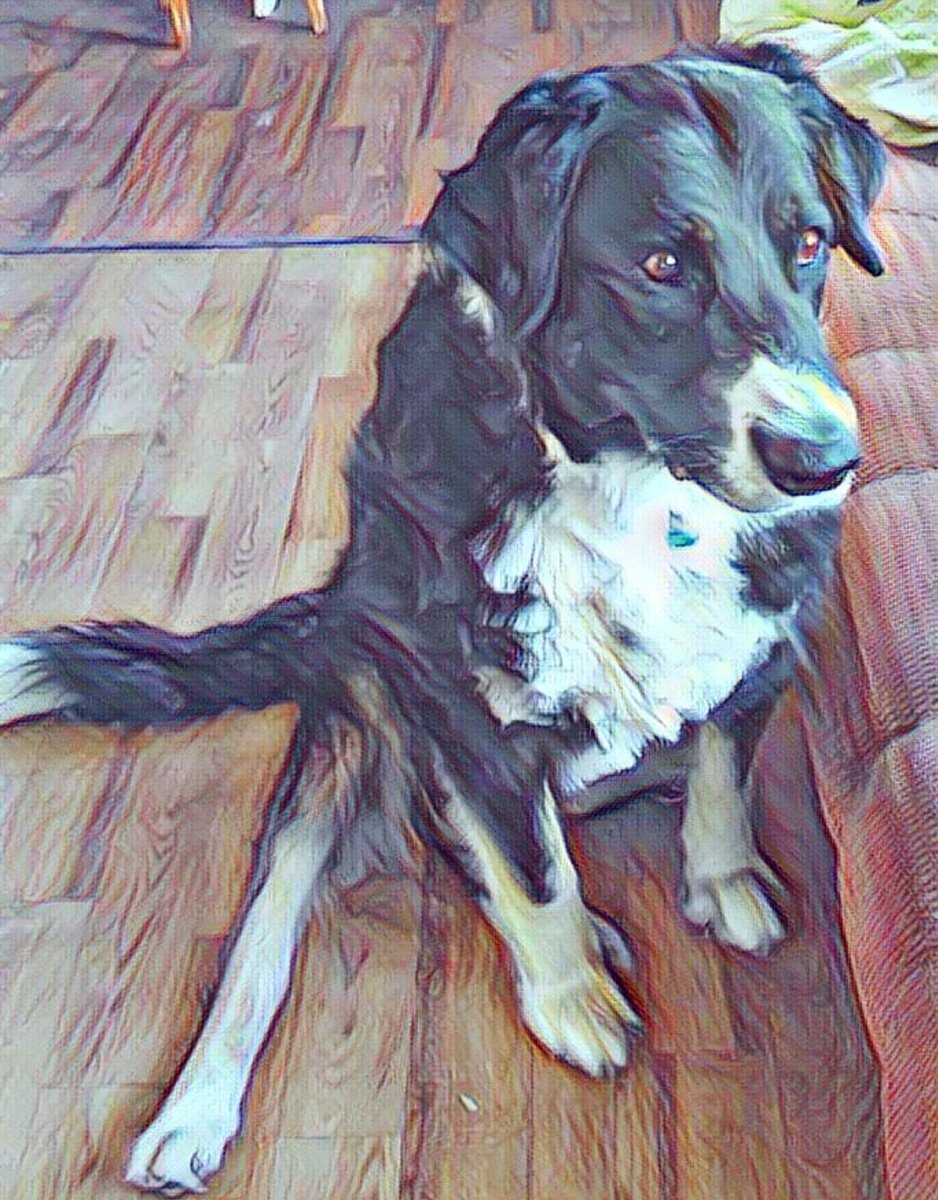 Личный архив