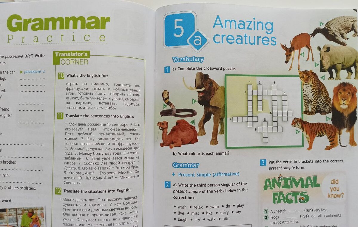 Рабочая тетрадь