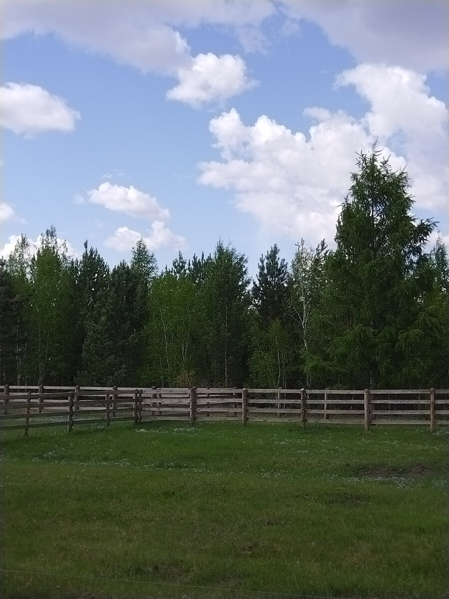 Вот такие загоны.