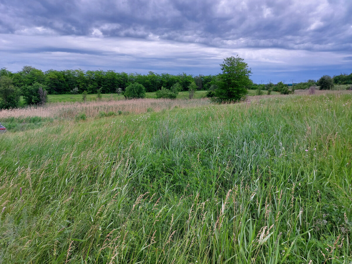 Фото автора донская степь