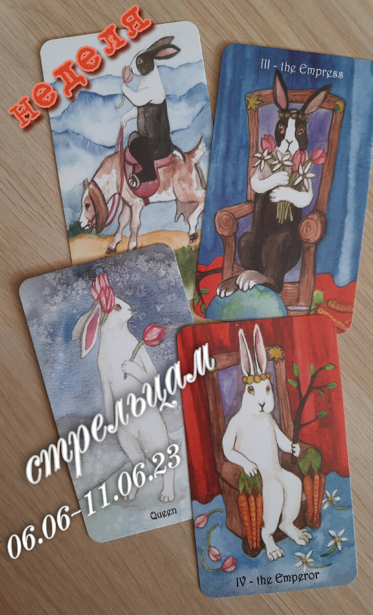 фото ЕлВита