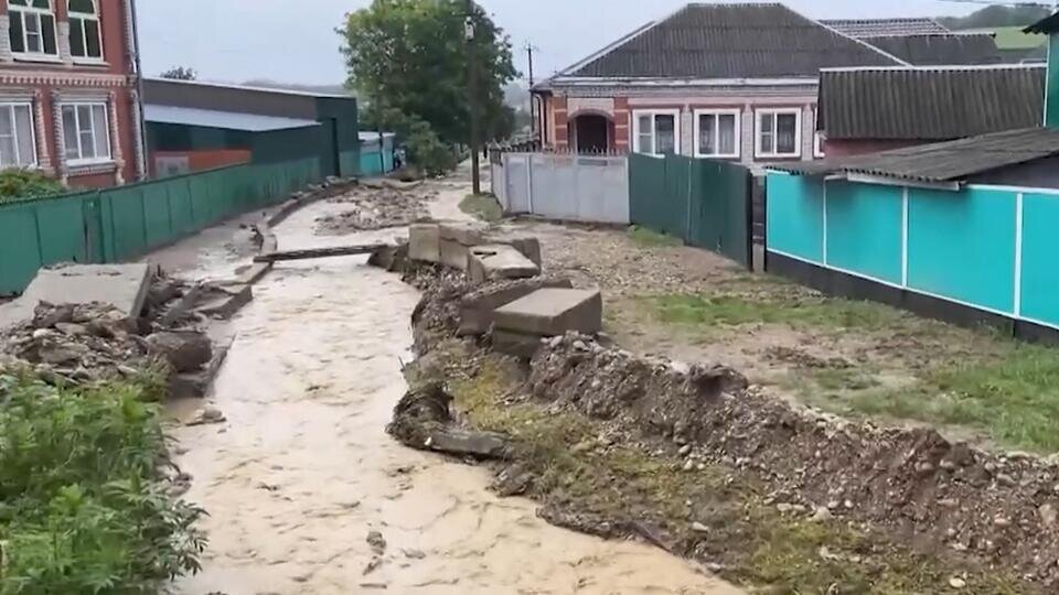 Фото: © Скриншот видео