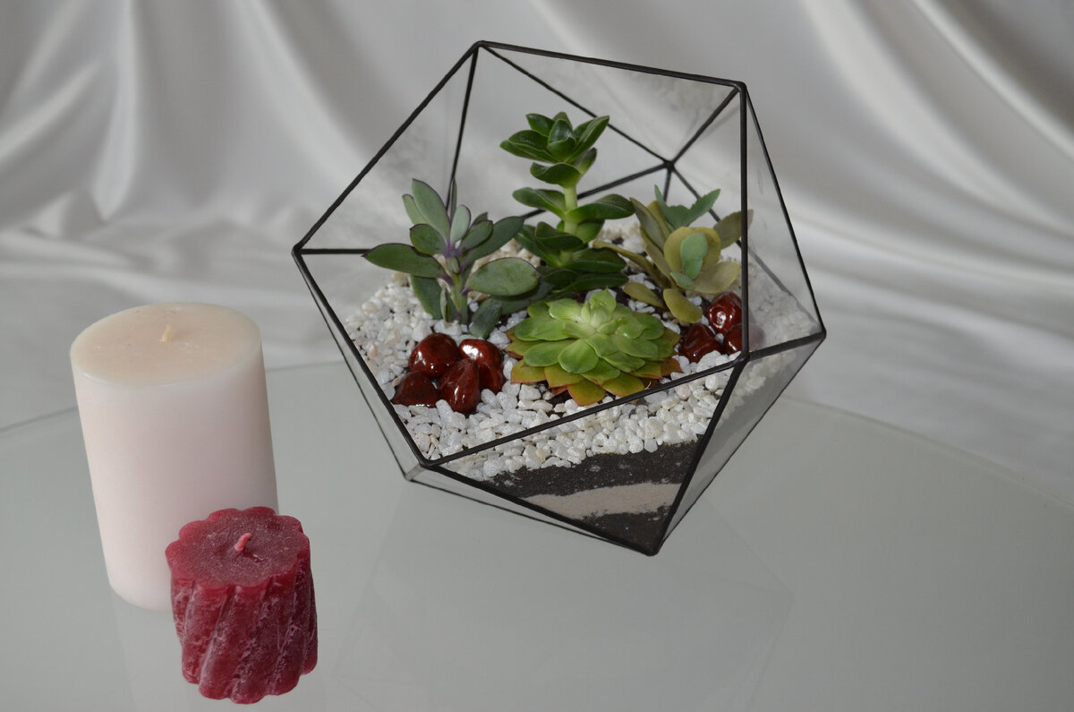 Мои флорариумы. Фото из личного архива.