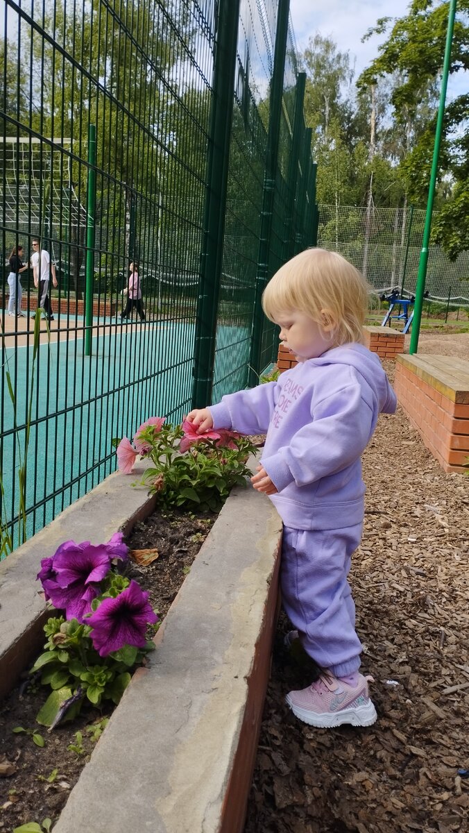 Цветочки рядом с волейбольной площадкой, ну ладно😊