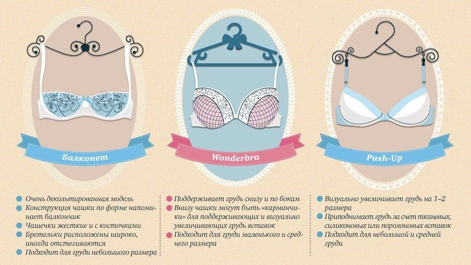 Топ 5 базовых бюстгальтеров для стандартной груди, большой и маленькой