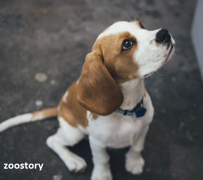 ИСТОЧНИК: UNSPLASH - МАРКУС УОЛЛИС