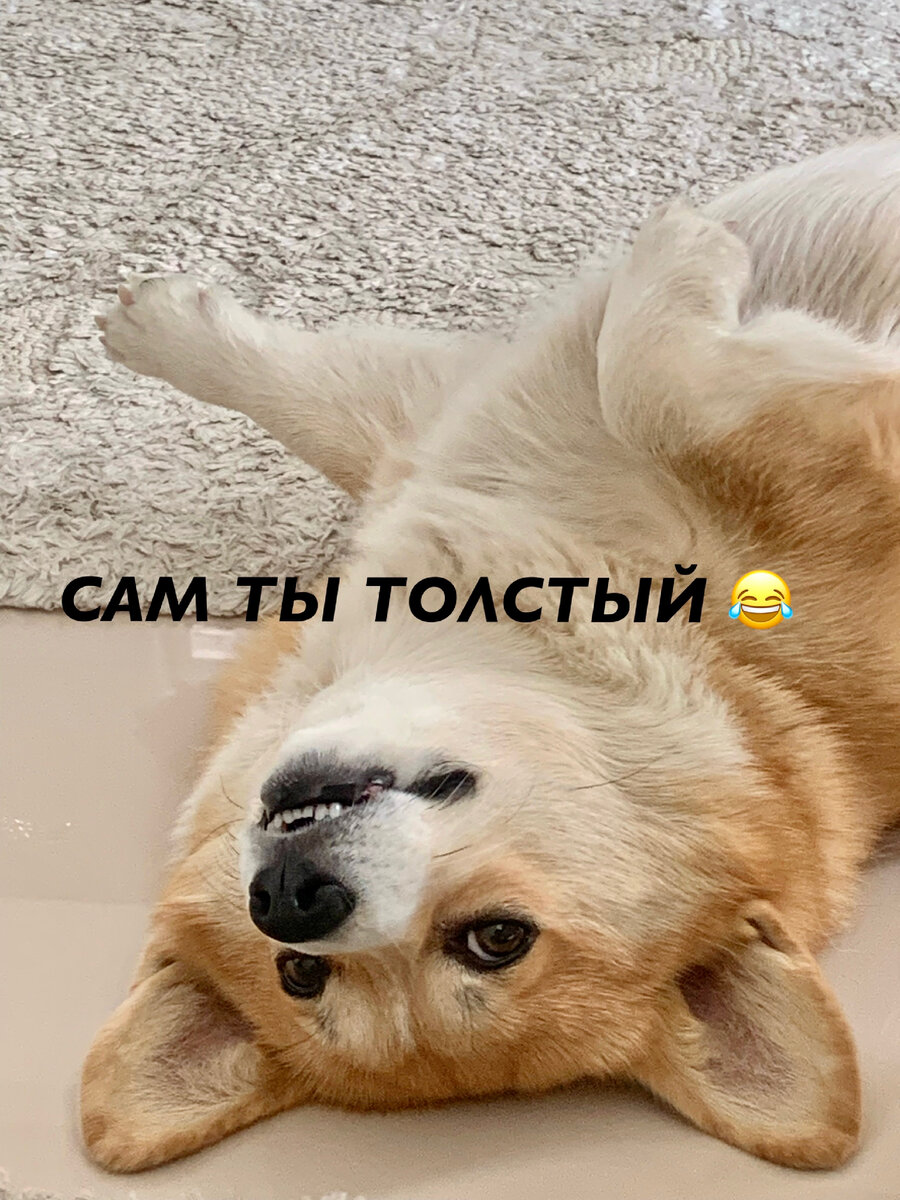 Если бы Асти умела отвечать:)