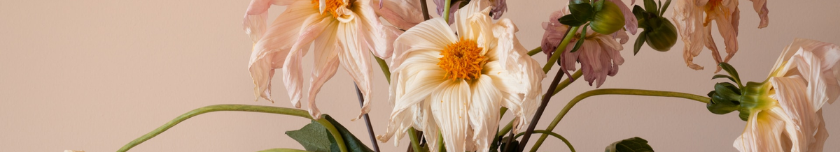    Ранний климакс: причины, симптомы и прямое руководство к действию (фото 1)