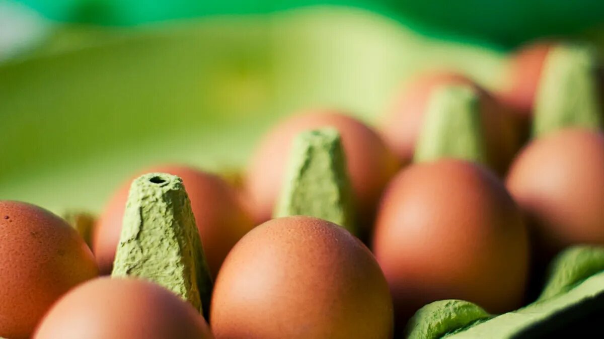 Христиане готовятся поститься в Апостольский пост 2023 года. Фото: www.piqsels.com