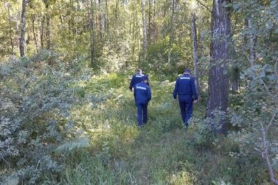    Поиск заблудившихся в лесу © Пресс-служба вице-губернатора Московской области Д.В. Пестова