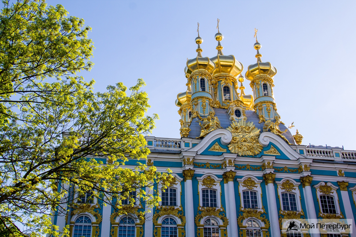 Царское село санкт петербург картинки