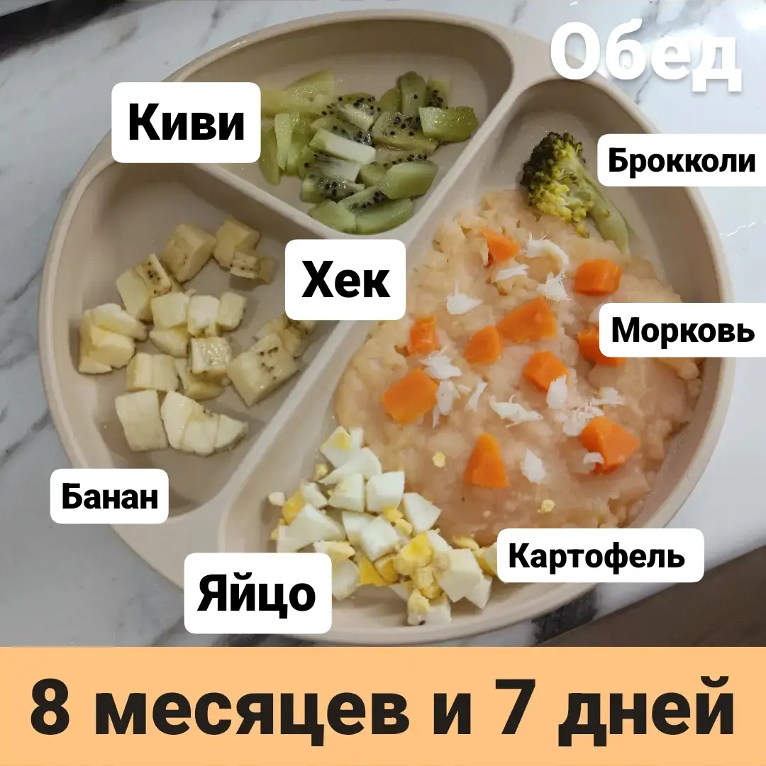 Прикорм. Тарелка 8 месяцев и 7 дней. Обед. | В поисках дома ❤️ Вьетнам 🇻🇳  Нячанг | Дзен