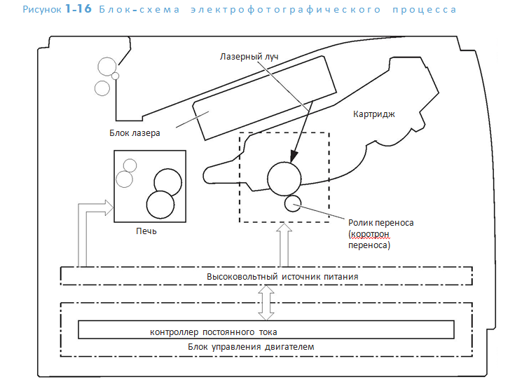 Принцип печати лазерного принтера (принцип ксерографии) подробно. Текст ...