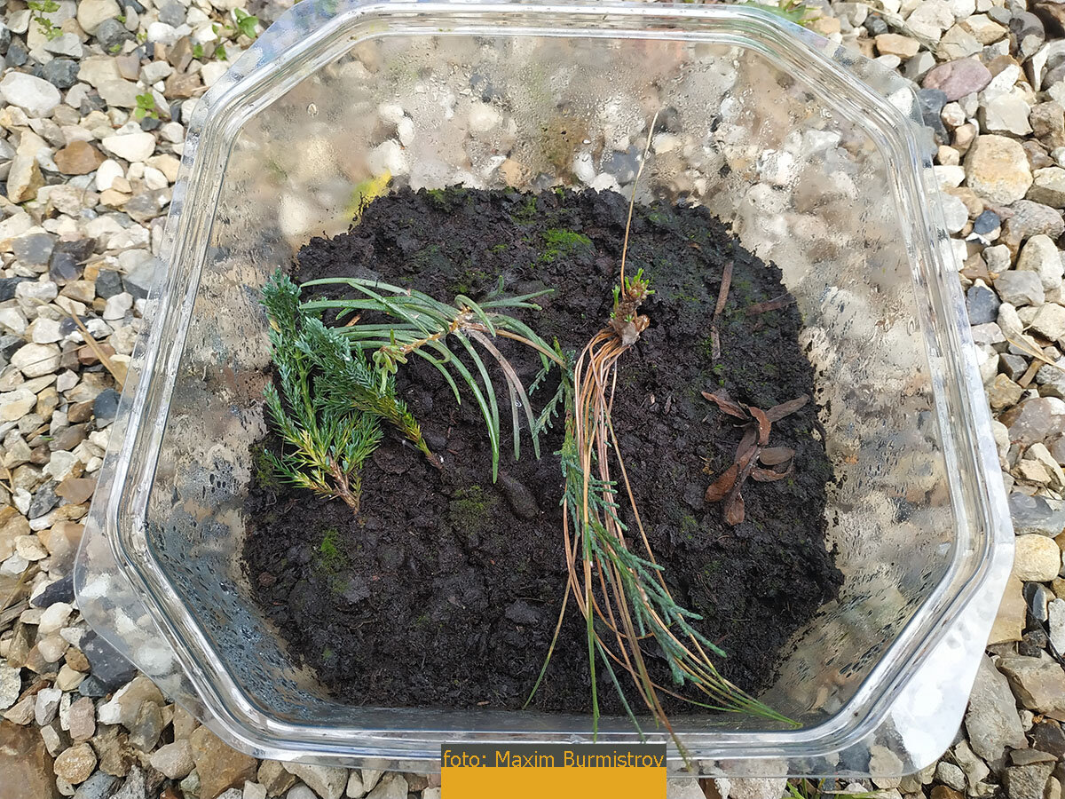 Результат налицо.