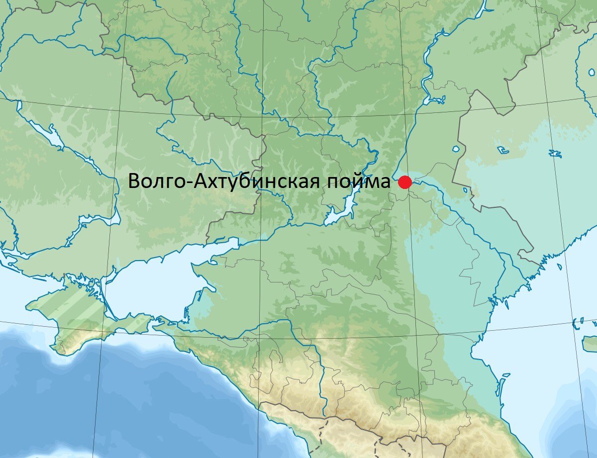 Волго-Ахтубинская Пойма на карте России. Проект обводнения Волго-Ахтубинской Поймы. Волго-Ахтубинская Пойма на карте. Где находится Волго Ахтубинская Пойма на карте России.