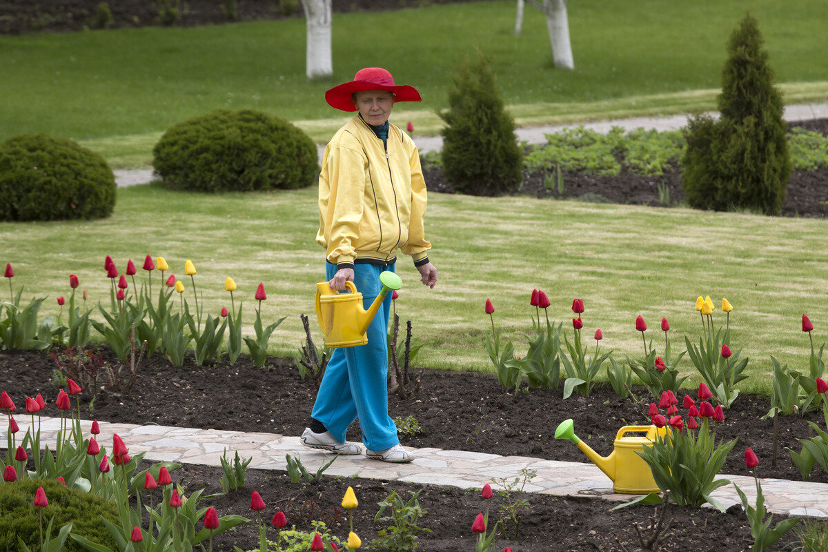 Имеющие дачу пожилые россияне могут рассчитывать на целый ряд льгот.  Фото: © Nikolay Gyngazov / Global Look Press / globallookpress.com