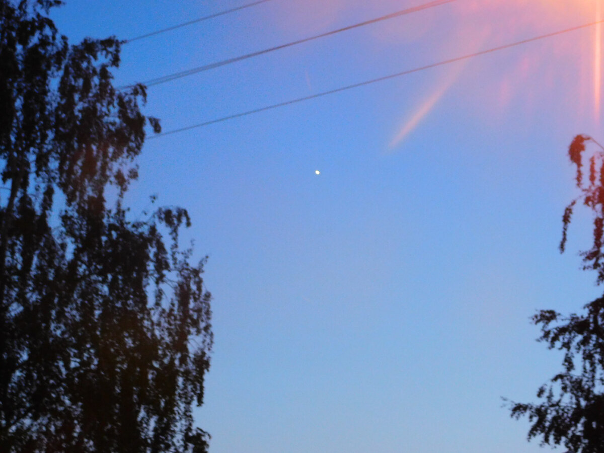 Фото автора канала