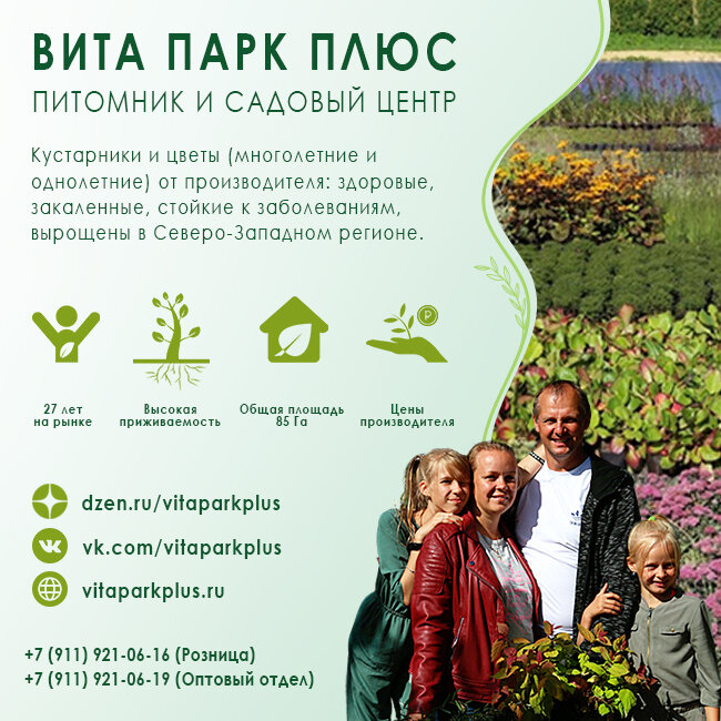 Паркур площадка парк горького. Плюс дача парк горького. Парк плюс. Выпускной в парке горького. Плюс дача в парке горького кинотеатр.