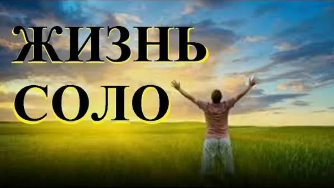 Соло это. Жизнь Соло. Жизнь Соло картинки. Жизнь Соло книга. Живущие Соло.