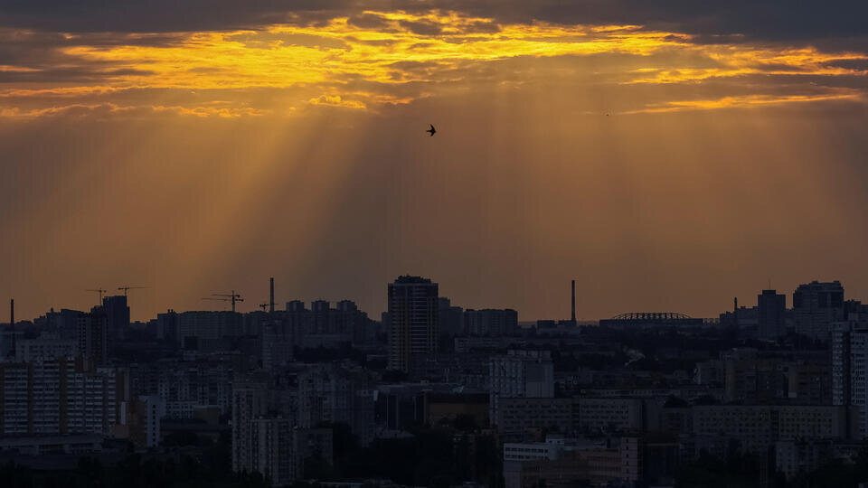 Фото: © REUTERS/Gleb Garanich
