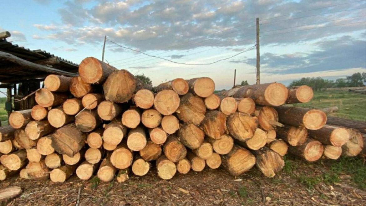 УМВД по Тюменской области📷
