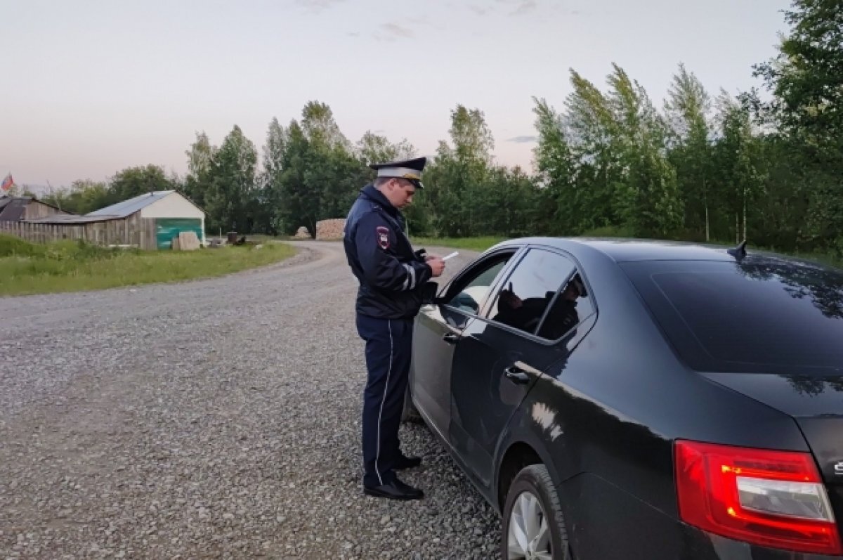    В выходные свердловская ГИБДД проведет рейды в СНТ, деревнях и селах