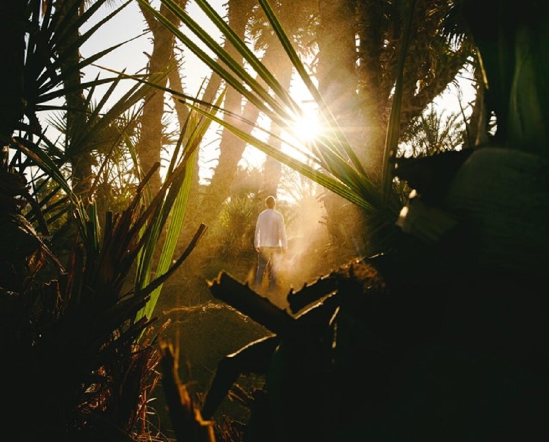 Источник: https://unsplash.com/  