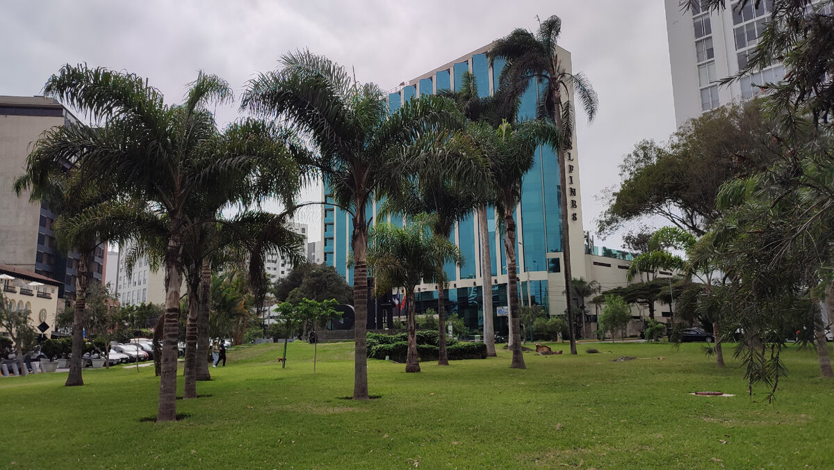 Отель Дельфинес