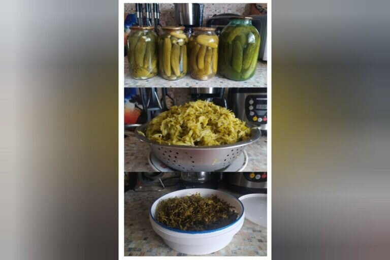    Меню «полевой кухни» от Бугурусланских волонтеров пополнилось рассольником Кристина Просвиркина