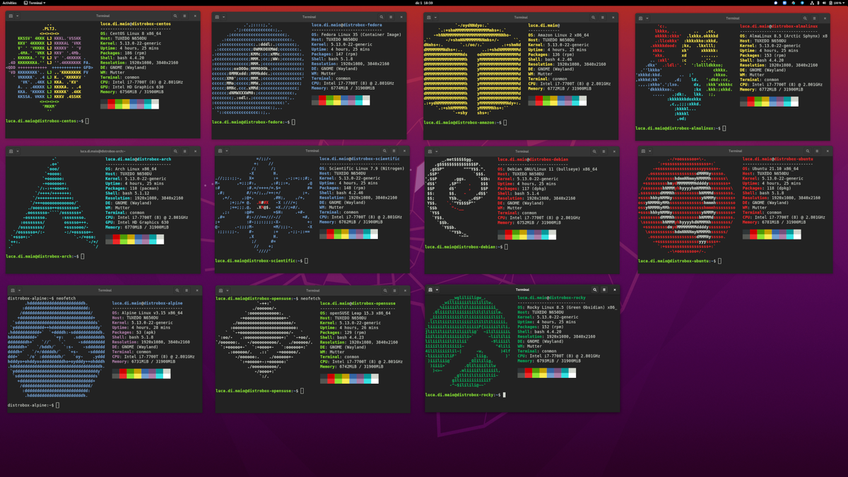 Дистрибутивы linux 2025. Дистрибутивы linux 2025