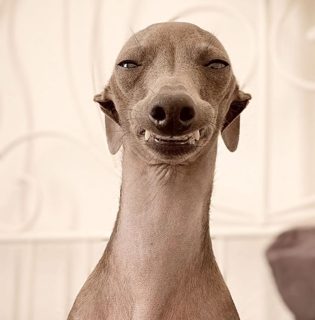 картинка из свободного доступа