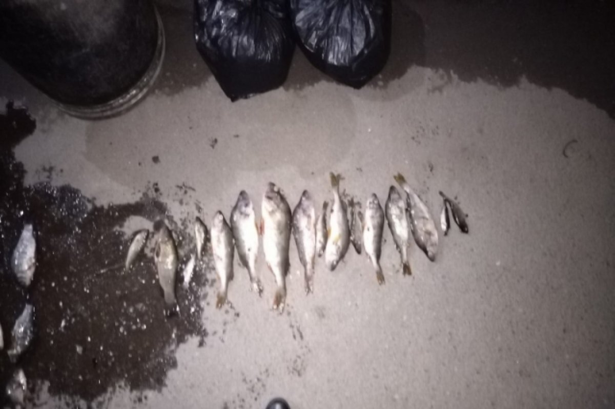    Улов у мужчины изъяли.