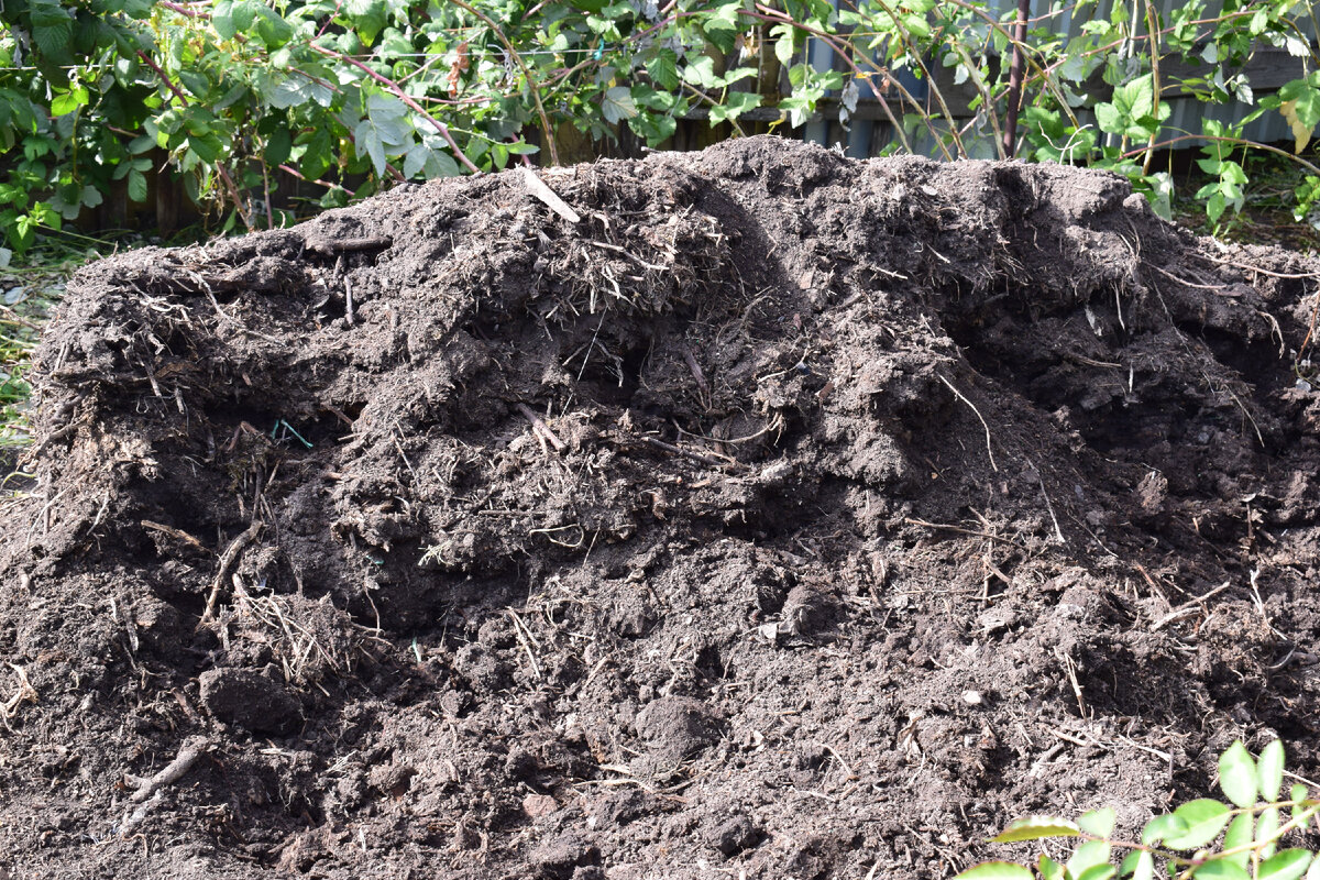 вот такой компост получаю на компостной куче(фото автора)