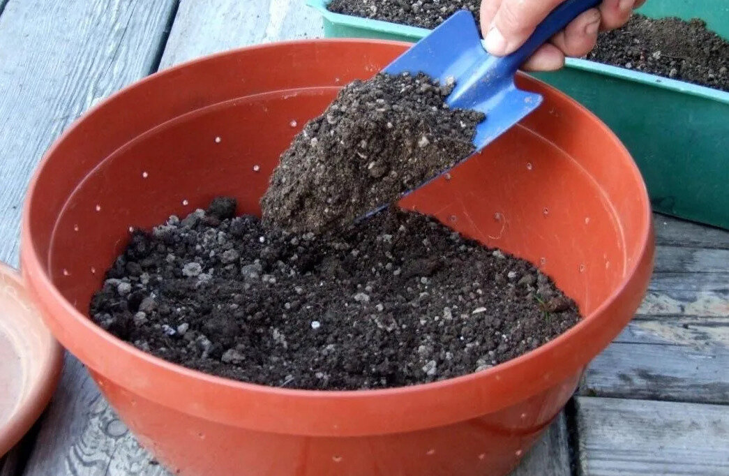 Приготовление грунта для посадки.