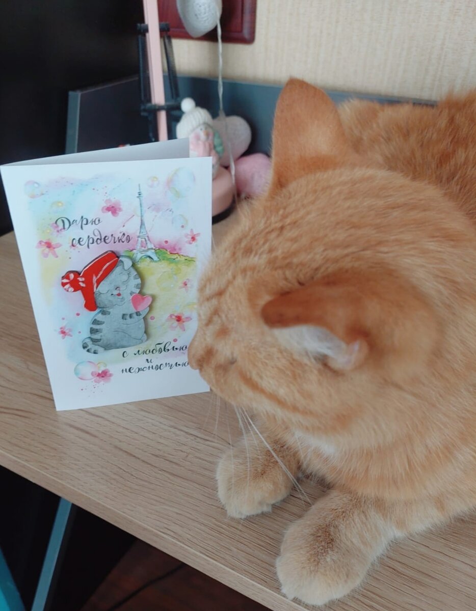 Кот Рыжик делится добрыми делами на каждый день