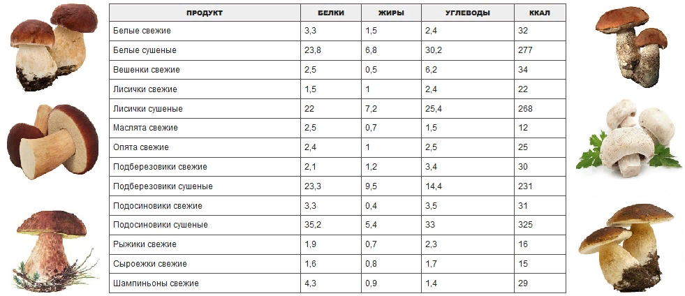 Технологическая карта грибы шампиньоны жареные с луком