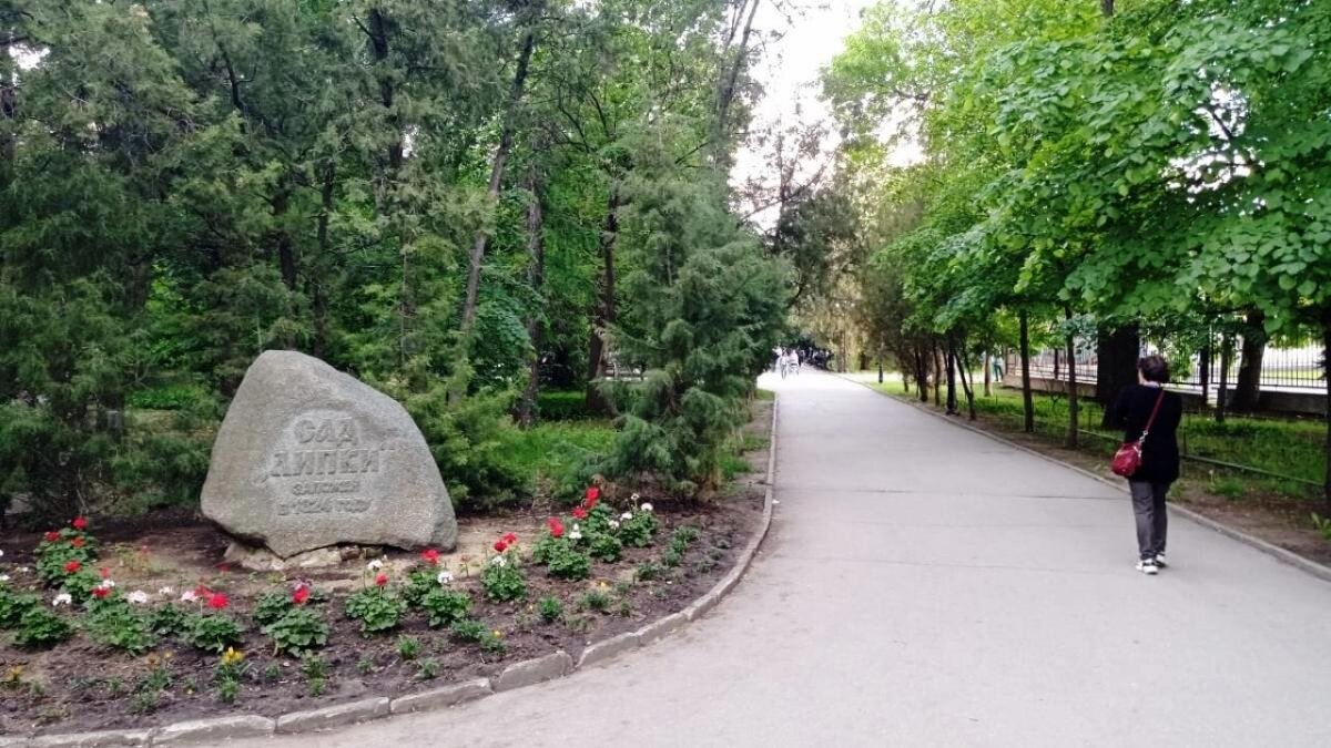    Николай Панков предложил присвоить парку Липки особый статусНовости Саратова и области – Сетевое издание «Репортер64»