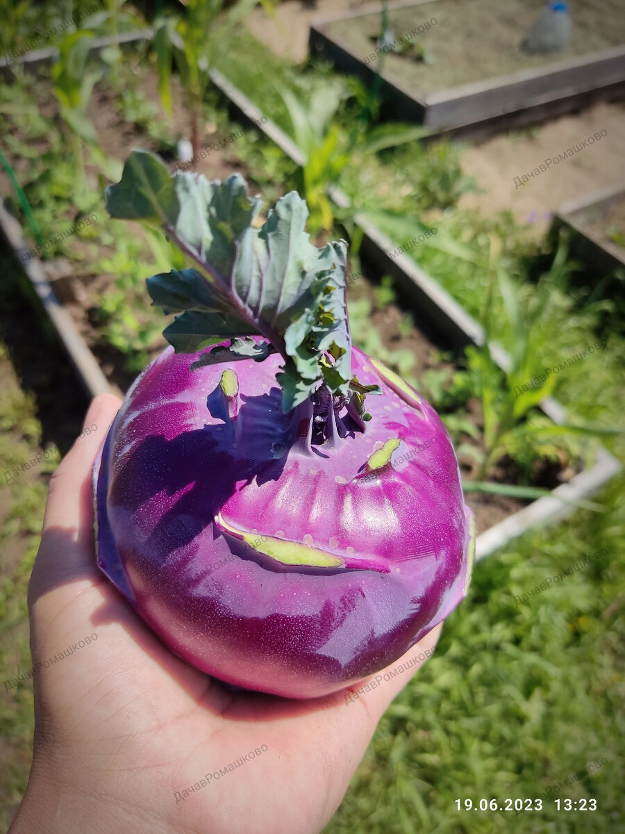 Как будто улыбается 😃