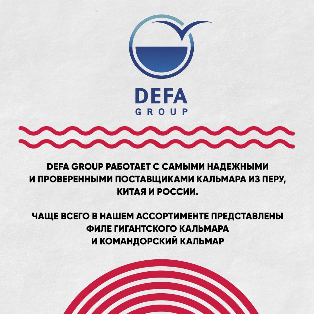 Рыбная энциклопедия. Кальмар | Defa group | Дзен