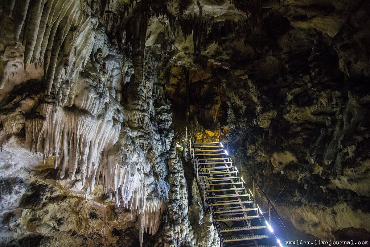 Фото с сайта яндекс.картинки