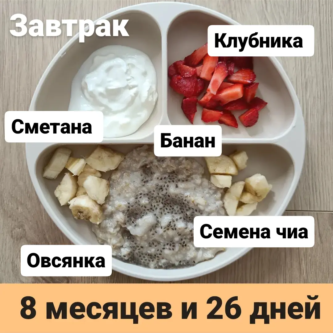 Пример тарелки в 8 месяцев 