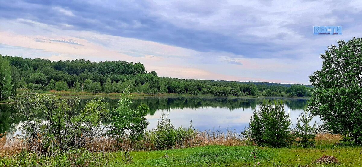 Озеро ведет. Деревня Ложкина Алапаевский район природа.