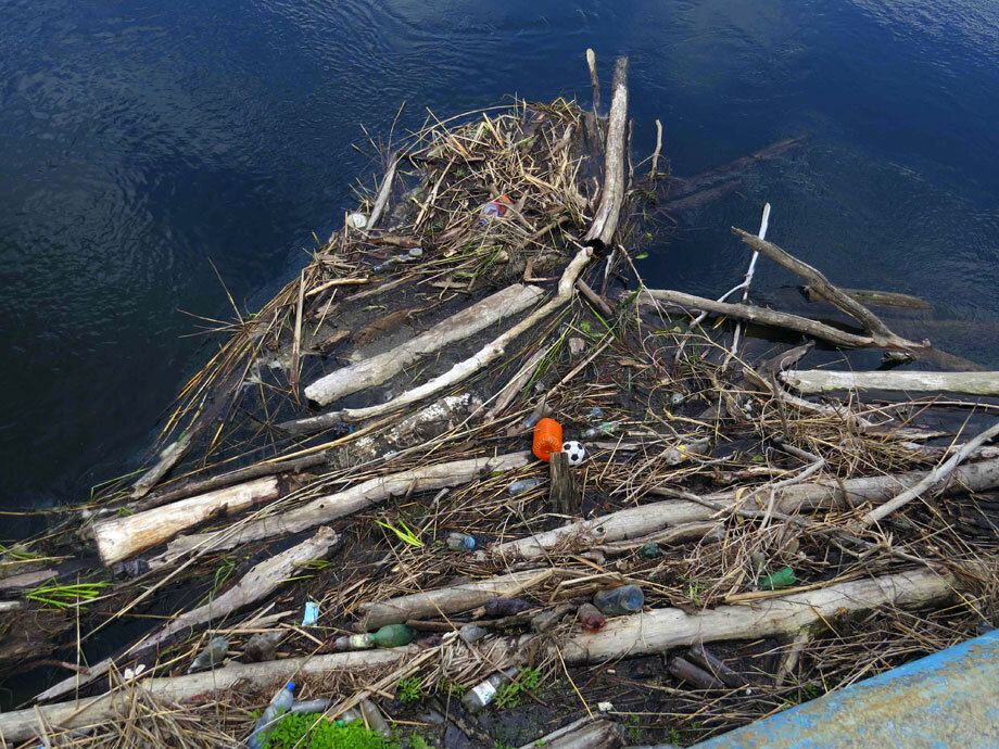 Фото Дмитрия Бикбова 