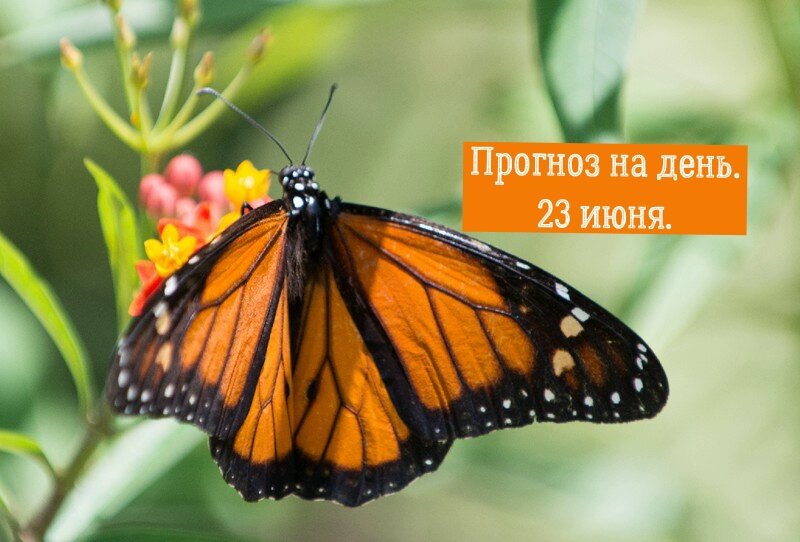 прогноз на 23 июня.