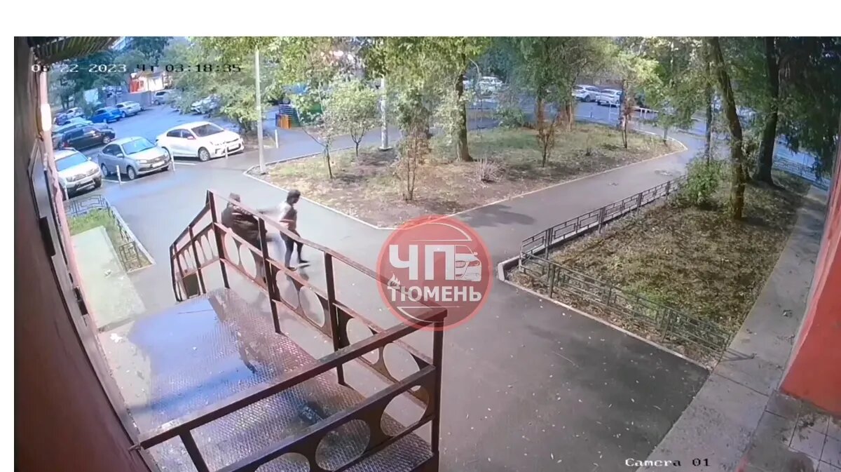 Фото: Стоп-кадр из видео / vk.com/chptmn