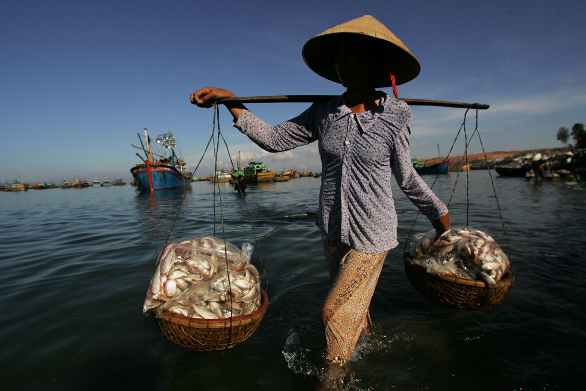 Помогите гоби и южную добыть рыбу. Рыболовство в Юго Восточной Азии. Вьетнам рыболовство. Рыболовство в Японии. Вьетнам рыбаки.