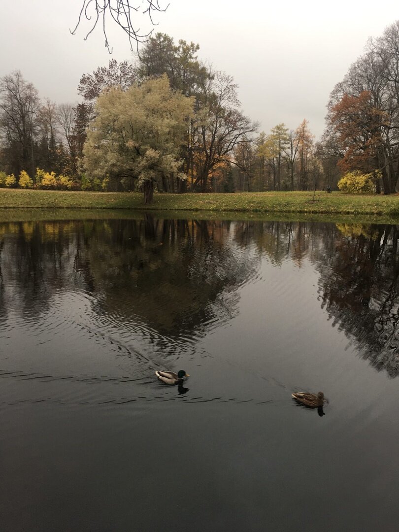 "Утро дворянина"- Санкт-Петербург, г.Пушкин, Александровский парк, 25.09.22