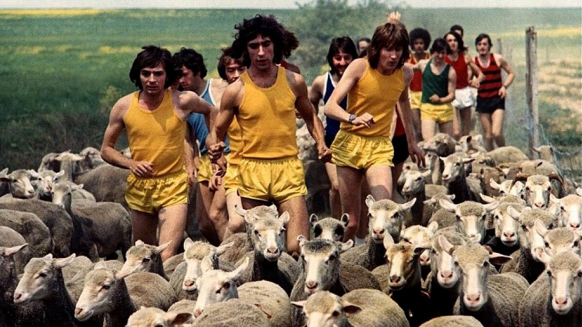 Кадр из фильма "Сумасшедшие на стадионе" (1972)