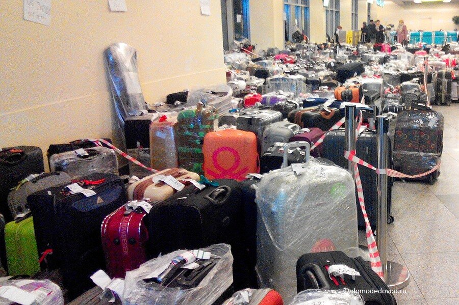 Багаж в аэропорту Домодедово. 